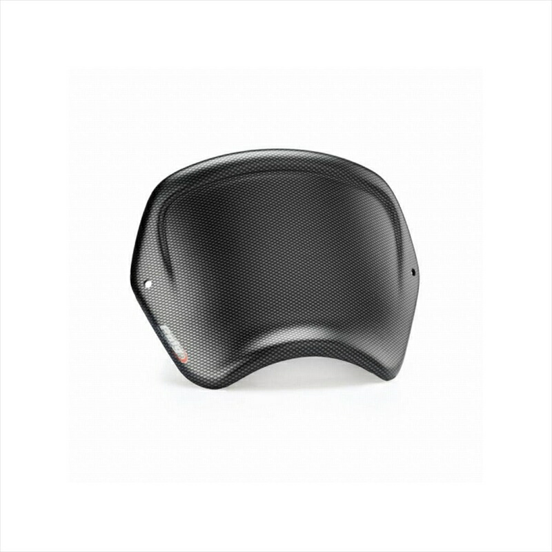 バイクパーツ 外装 プーチ フロントパネル ABS カーボンプリント 9768C 4571414954600 CB1000R 18-20/CB650R 19-21・ABS樹脂