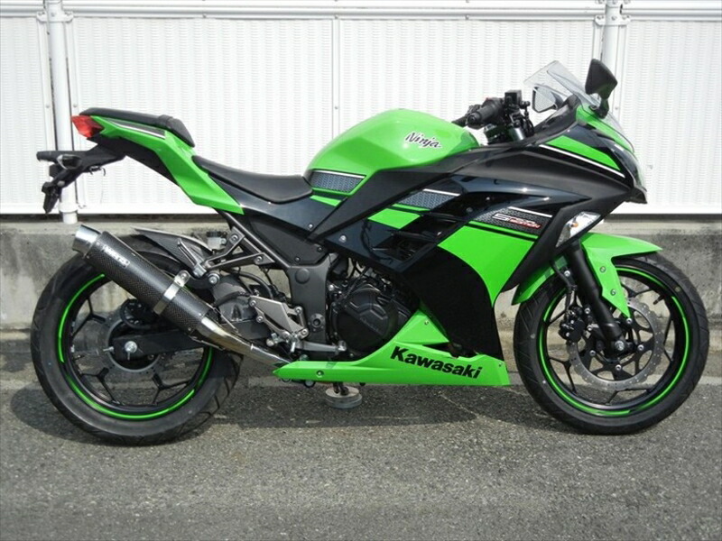マフラー ダブルアールズ WR`S S O ラウンドカーボンサイレンサー Ninja250 ABS 13-17(JBK-EX250L) Z250 ABS 13-18(JBK-ER250C) BC4250JM 4548664912773 取寄品