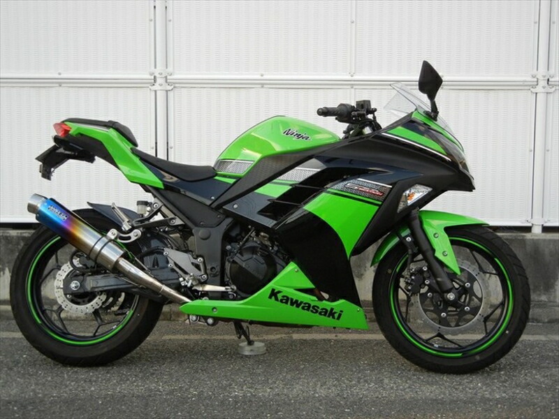 マフラー ダブルアールズ WR`S S O ラウンド焼き色チタンサイレンサー Ninja250 ABS 13-17(JBK-EX250L) Z250 ABS 13-18(JBK-ER250C) BK4250JM 4548916193837 取寄品