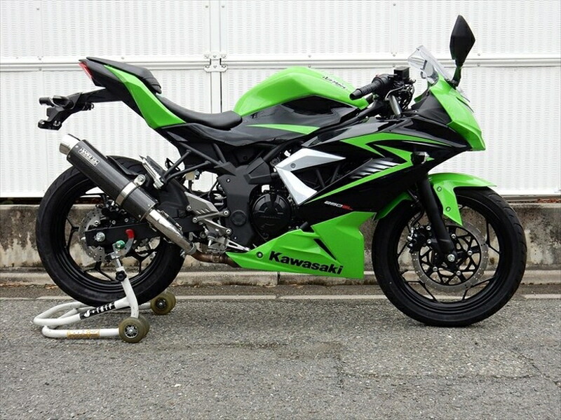 マフラー ダブルアールズ WR`S S O ラウンドカーボンサイレンサー Ninja250SL ABS (JBK-BX250A) BC4260JM 4548916419975 取寄品｜バイク用品はとやグループ2号店