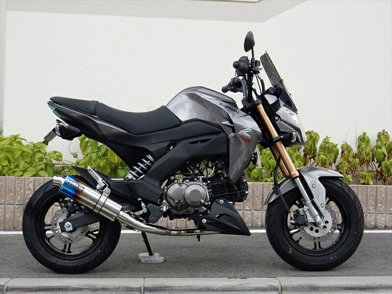 マフラー ダブルアールズ WR`S フルEX ショートオーバル 焼き色タイプ Z125 PRO (2BJ-BR125H) LS4110JM 4549950008798 取寄品｜バイク用品はとやグループ2号店