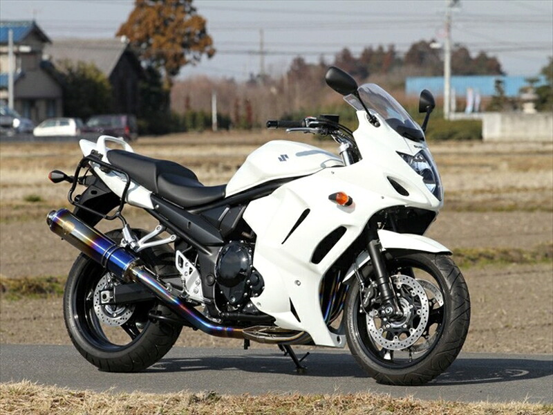 バイクパーツ R’S GEAR(アールズギア) ワイバン シングル カーボン WS09-01CF 4582329785869 BANDIT1250 07-18