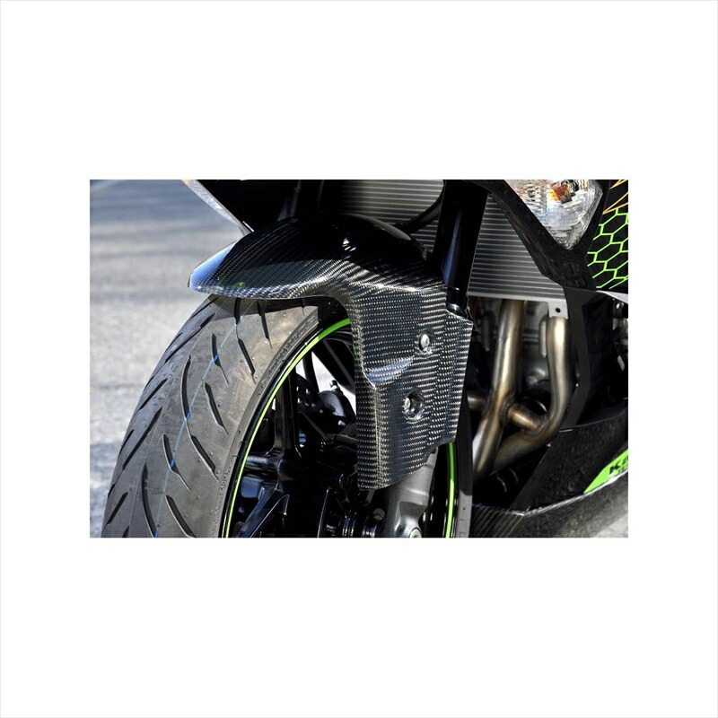 レッド 193-1022 ピーエムシー PMC ARCHI フロントフェンダー ZX25R カーボン