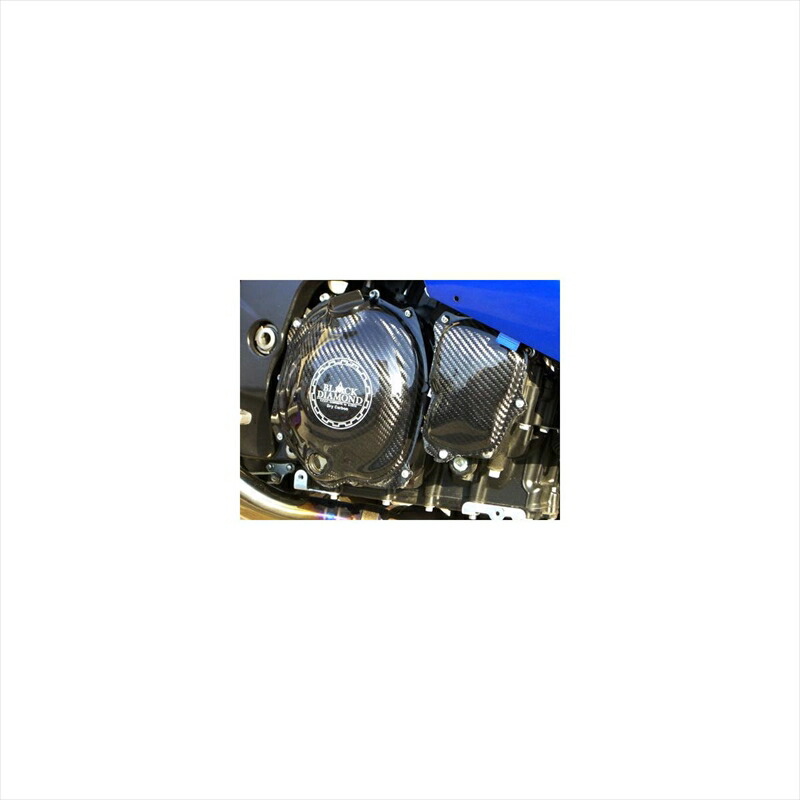 バイクパーツ エーテック EGガードセット ドライカーボン 9KA01175-S 4524446053506 ZZR1400 06-