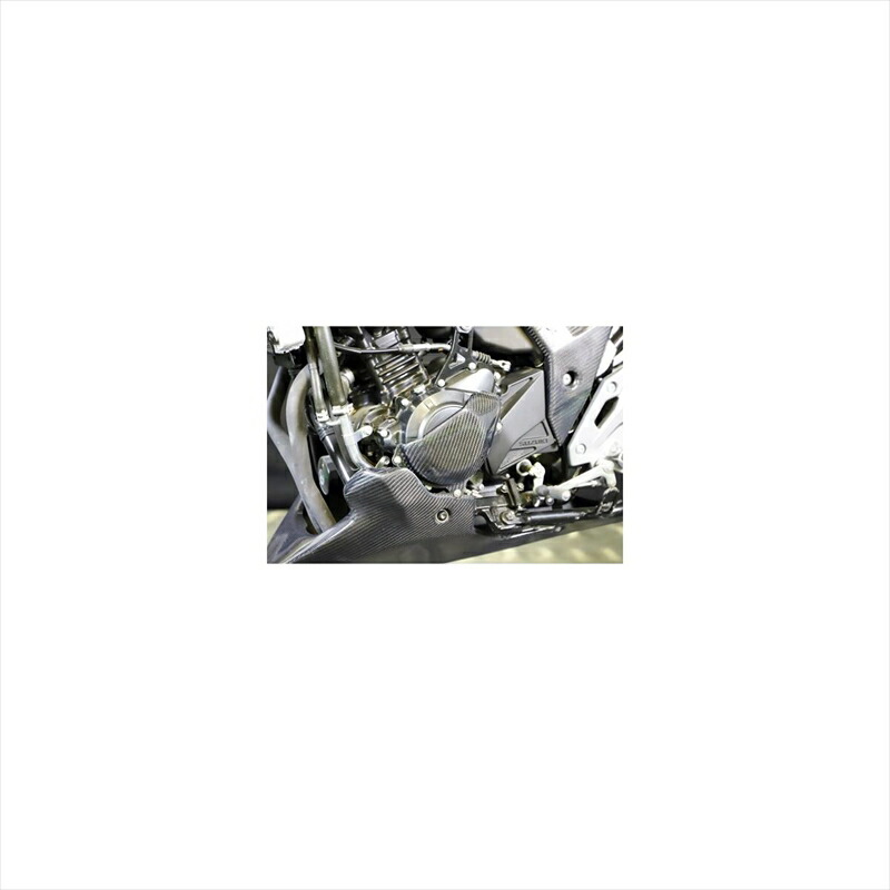 バイクパーツ 外装 エーテック ジェネレーターカバー クリアー塗装 KDC S25115-L-KD 4524446144716 GSX250R 17- 18,246円