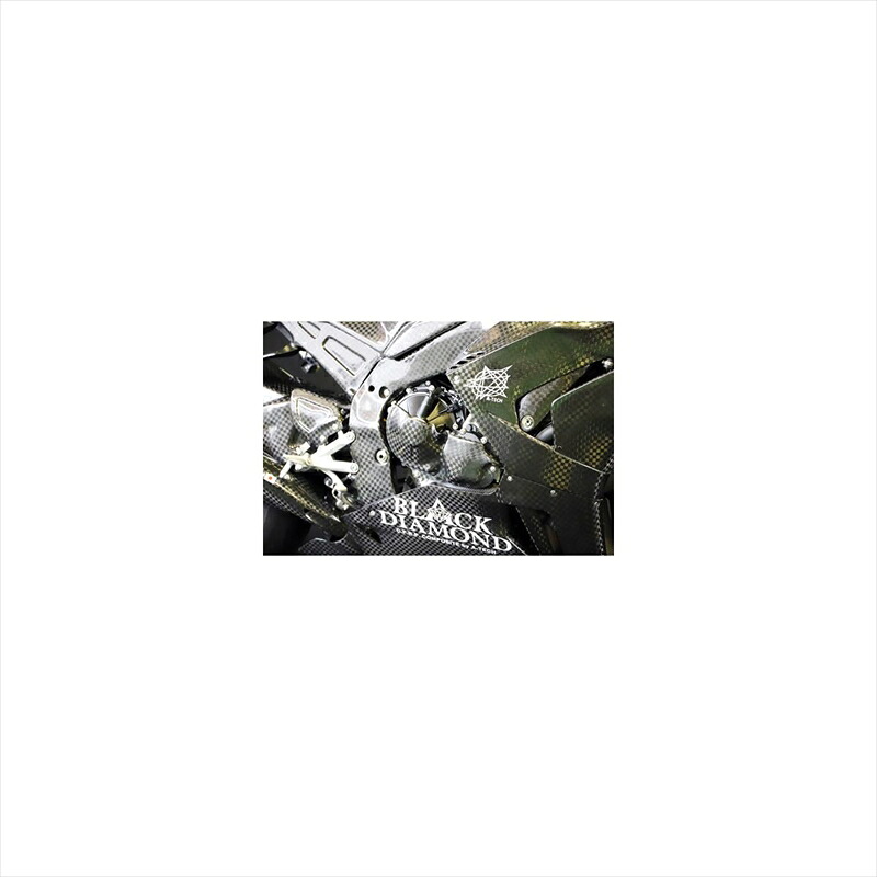 バイクパーツ 外装エーテック ジェネレーターカバー クリアー塗装 CDCH10755-L-C 4524446148127CBR1000RR-R 20-｜バイク用品はとやグループ2号店 16,409円