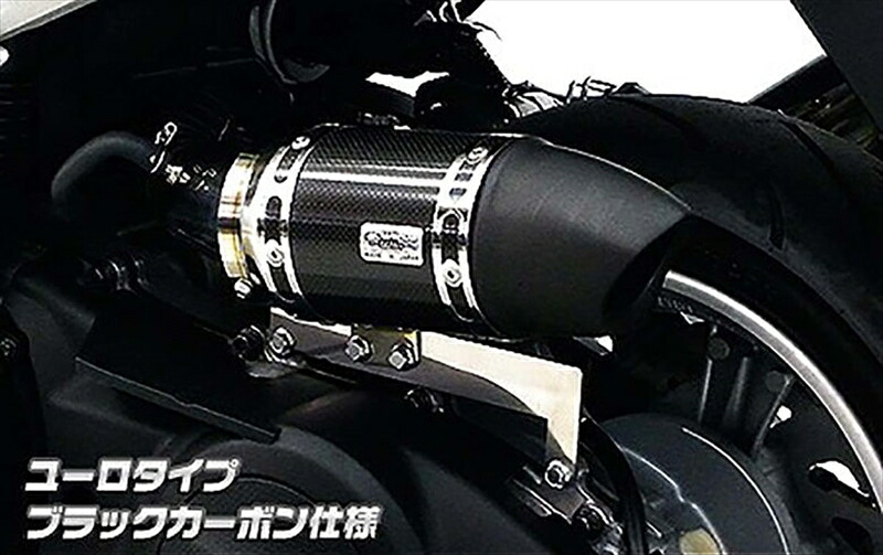 バイクパーツ ウイルズウィン サイレンサー型エアクリーナー/ユーロ BLKカーボン MF13 Black.C 4550646147448 フォルツァ MF13 23,072円