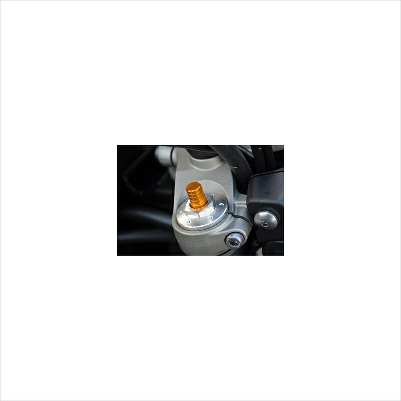 バイクパーツ アグラス フロントフォークイニシャルアジャスター 351-304-000 4549950501350 SV650 ABS 16