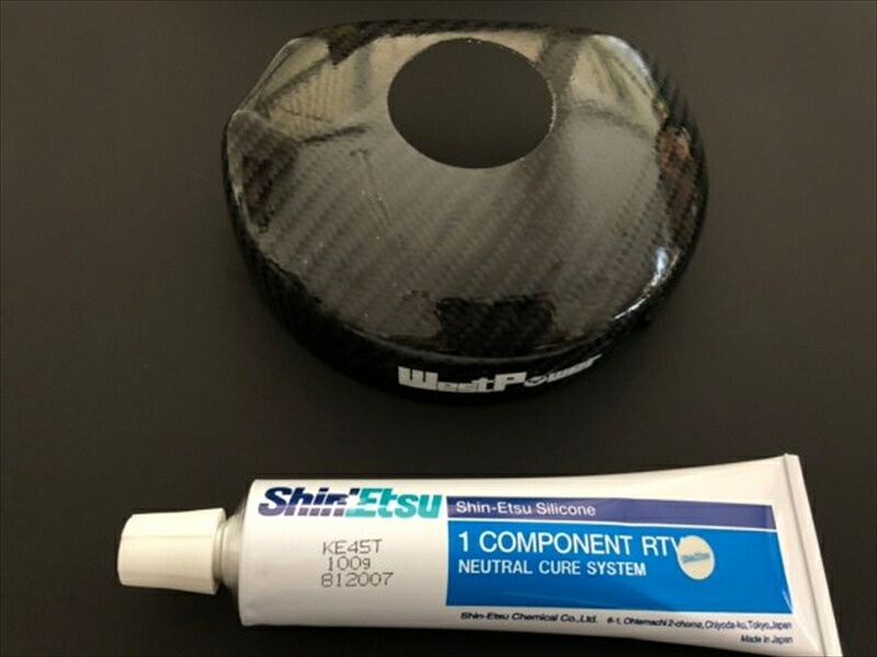 バイクパーツ 外装 WESTPOWER(ウエストパワー) ACG カーボン2次カバー Ver2 10-000014 4550255565138