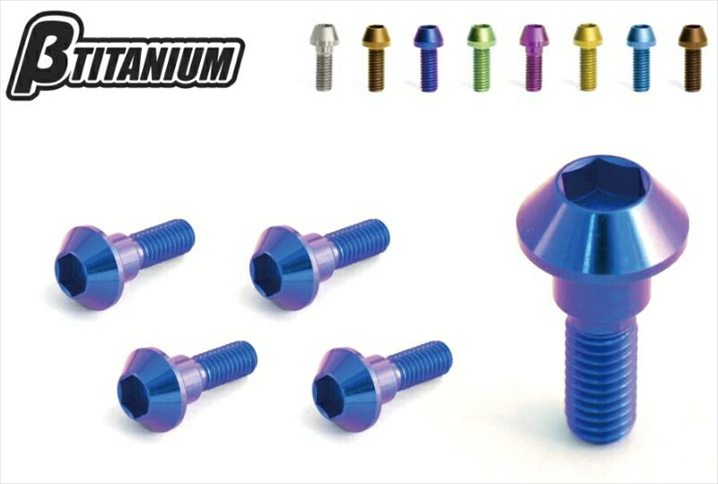 バイクパーツ メンテナンス βTITANIUM(ベータチタニウム) Rブレーキディスクローターボルトキット BT-RDK1-3 4573374156070 7,418円