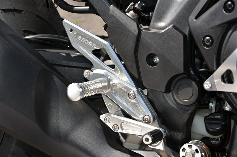 バイクパーツ ステップ AGRAS(アグラス) バックステップ 312-186-000 4550646093561