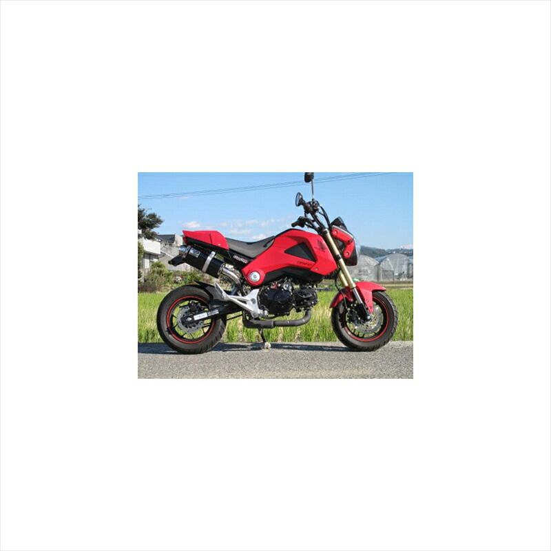 バイクパーツ マフラー ホットラップ TYPE666 スリップオンマフラー 666-GM-S 4548916432103 GROM