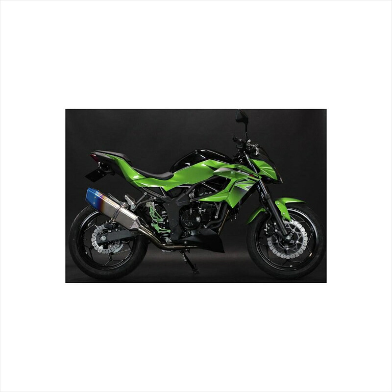 バイクパーツ マフラー トリックスター レーシングS/O シングル IKAZUCHI RSS-028-L4YT 4560417402584 Z250SL