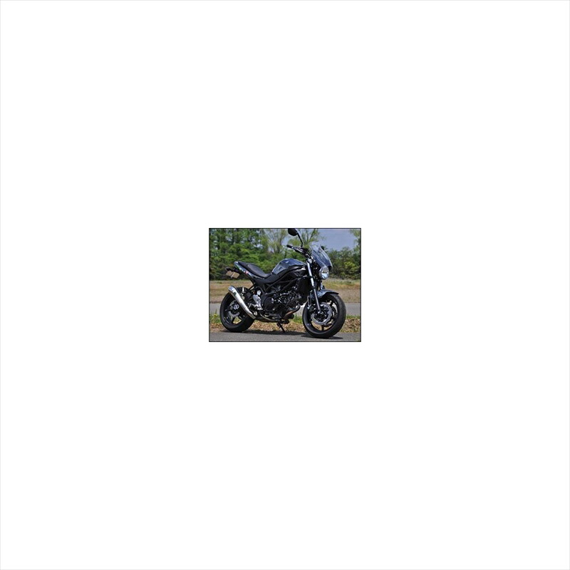 バイクパーツ 外装シックデザイン GUYRAシールド クリア #M GS49BM 4549950540021SV650 16-｜バイク用品はとやグループ2号店 23,331円