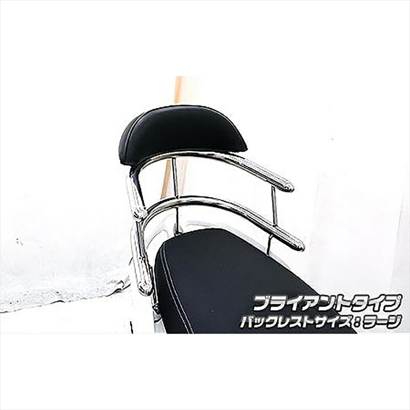 バイクパーツ 外装 ウイルズウィン Bホールドタンデムバー BRY/L 663-03-01 4548664584611 PGO ティグラ125