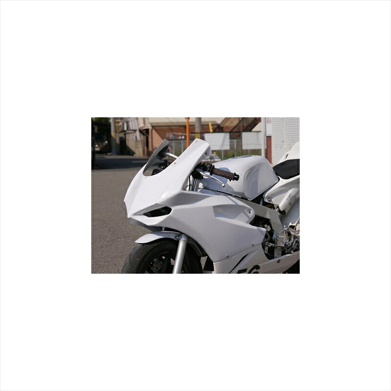 バイクパーツ 外装サイタニヤファクトリー ハーフカウル/レース/クィックファスナーver 3HNSFHC-WRM 4548916018239NSF100(ミニガーレ)|バイク用品はとやグループ2号店