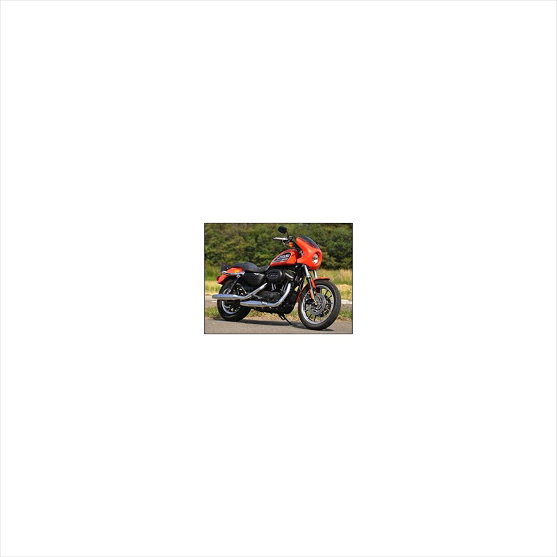 バイクパーツ 外装 シックデザイン ティーラ ロケットヘッドカウル/スモーク HC54C-BK/2 4548916349814 ビビットBK スポーツスター 04-