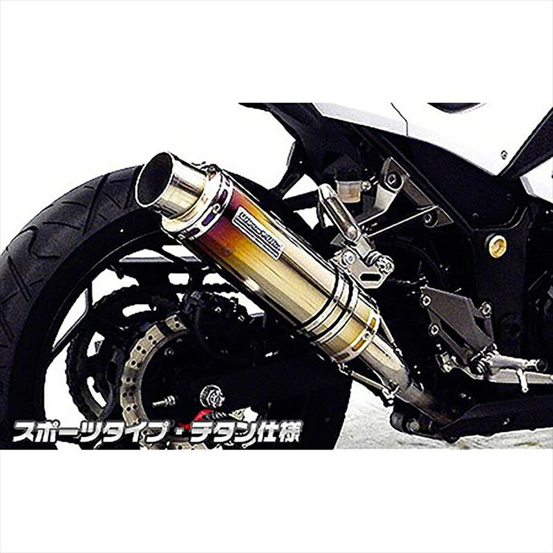 【美品】マフラー　Ninja 250 ニンジャ ウィルズウィン 楽天市場】WirusWin ウイルズウィン スリップオンマフラー
