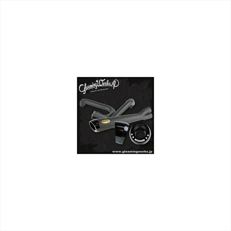 バイクパーツ マフラー グリーミングワークス SUS H2マフラー 2in1 コントラスト GW-4035 4549950033233 XL 07-13 58,376円