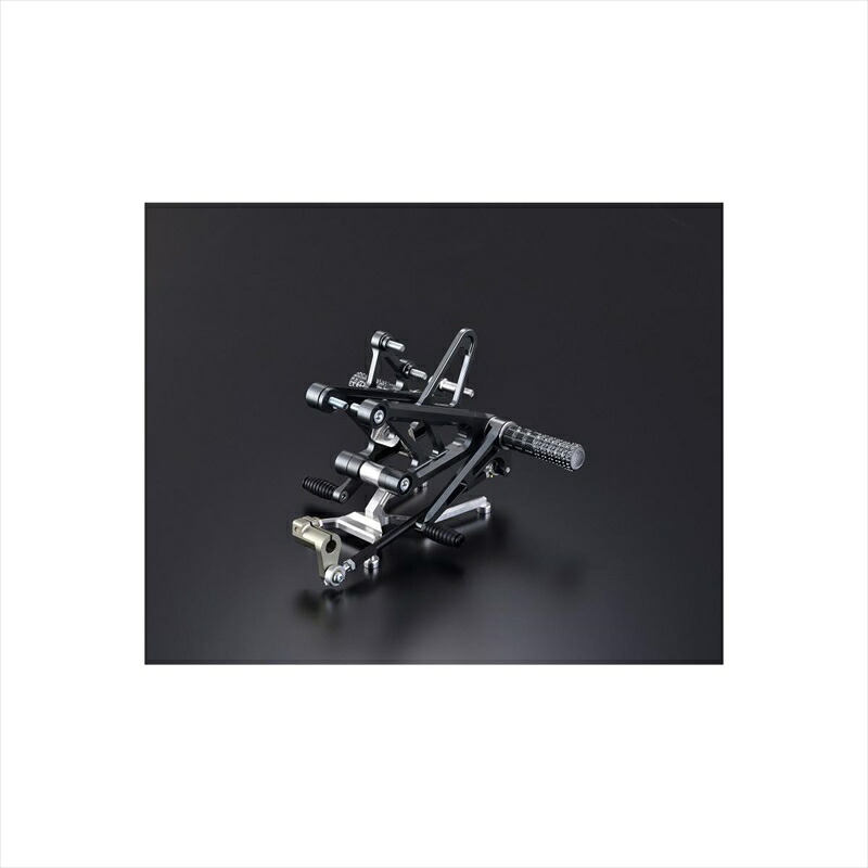 バイクパーツ ステップ ツルノテクニカルサービス バックステップキット 070148G0 4550255020248 Z900RS 18