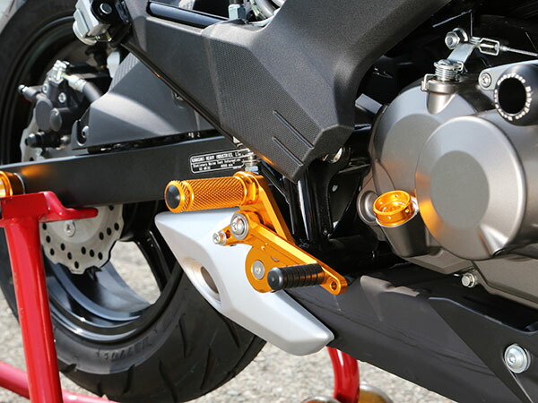 バイク用品ステップBABYFACEベビーフェイスバックステップキットBLKZ125Pro16-002-K029BK4589981465696取寄品セール