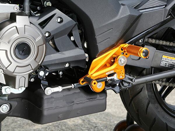 バイク用品 ステップBABYFACE ベビーフェイス 4589981522771取寄品 セール GLD Pro ZX125 16-R02-