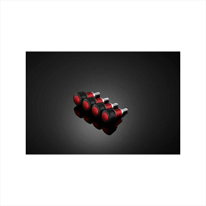 バイクパーツBIKERS(バイカーズ) フロントフェンダープロテクター 4個 レッド Y0323-RED4550255211301XMAX 18-22|バイク用品はとやグループ2号店