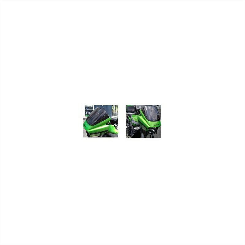 バイクパーツ 外装 プレジャー バイザーリフトプレート PK31500 4548664253890 ZRX1200 DAEG 15,084円