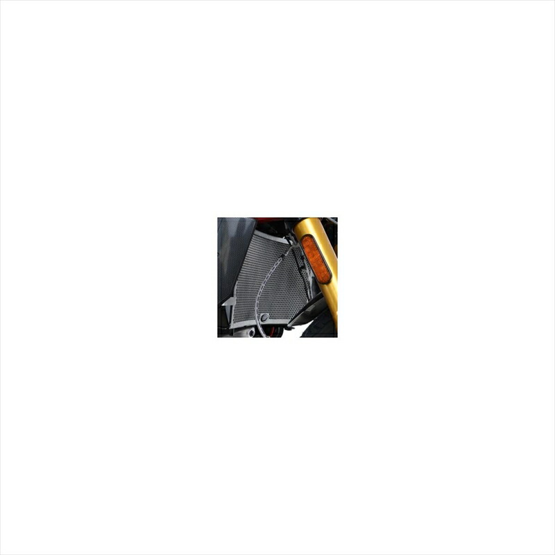 バイクパーツ 冷却系 アールアンドジー ラジエターガード ブラック RG-RAD0250BK 4580041236294 INDIAN FTR1200/S 19-