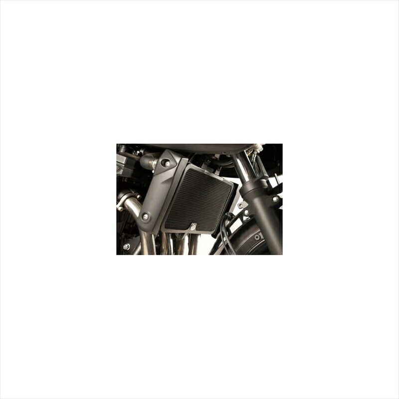 バイクパーツ 冷却系アールアンドジー ラジエターガード ブラックRG-RAD0110BK 4571381480676Bandit650 10-｜バイク用品はとやグループ2号店