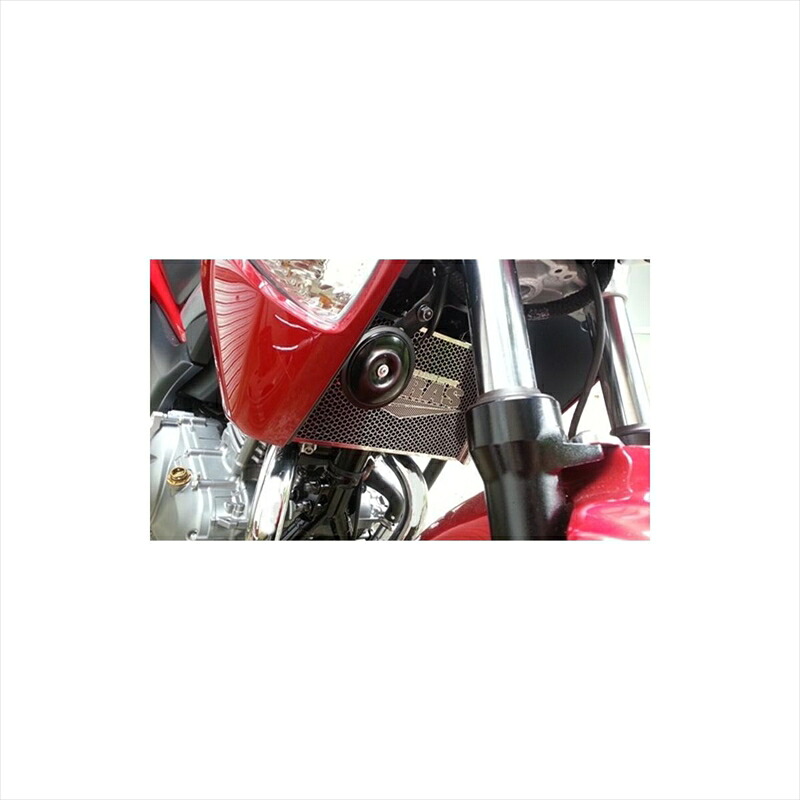 バイクパーツ 冷却系 アグラス コアガード Bタイプ/ロゴ無 309-301-B00 4548916226542 GSR250