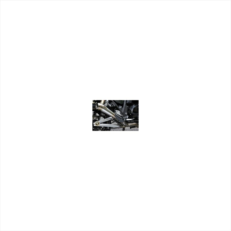 バイクパーツ マフラースペシャルパーツタダオ カーボンヒートガード パワーボックス用ZR1-CF-01 4571117956291ZRX1200DAEG｜バイク用品はとやグループ2号店