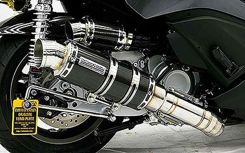 バイクパーツ WIRUSWIN(ウイルズウィン) プレミアムマフラー BLKカーボン 252-26-21 4548664056521 38,189円
