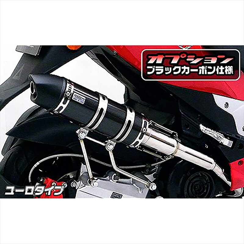 バイクパーツ マフラー ウイルズウィン ロイヤルマフラー ユーロタイプ 562-59-14 4548664500291 ブラックカーボン PGO G-MAX220