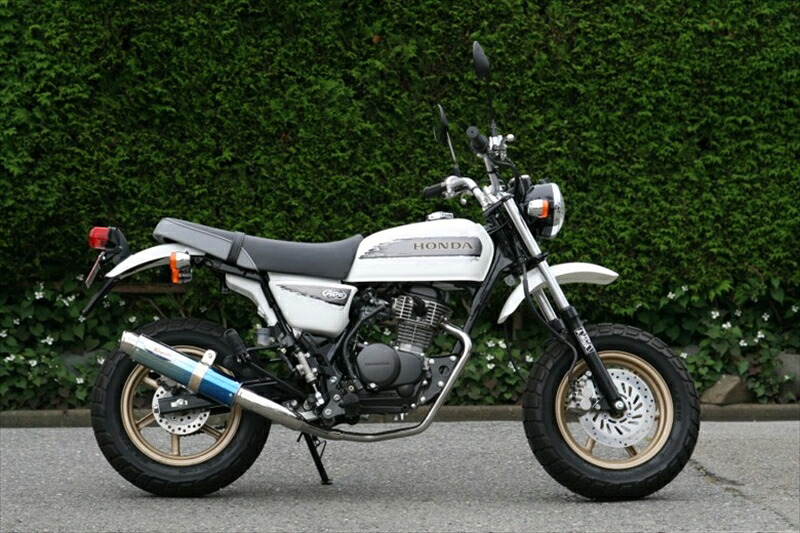バイクパーツ マフラーRPM(アールピーエム) 80D-RAPTOR Titan APE100 TYPE-D(EBJ-HC13)6036Z4582287251536|バイク用品はとやグループ2号店