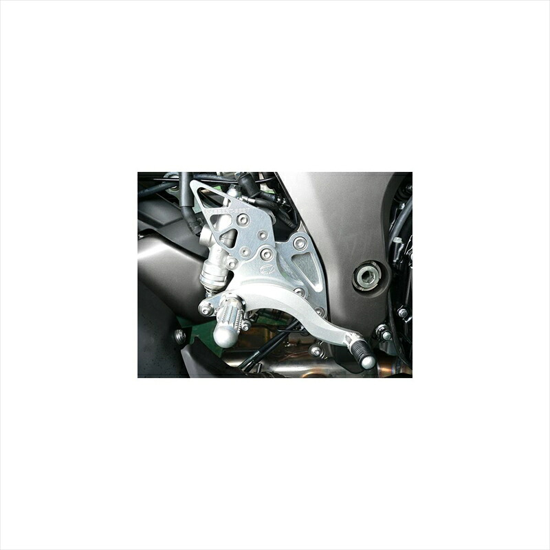 バイクパーツBEET(ビート) ハイパーバンク 固定式 SLV 0111-KD6-204582346463368NINJA1000 ABS/Z1000 ABS｜バイク用品はとやグループ2号店