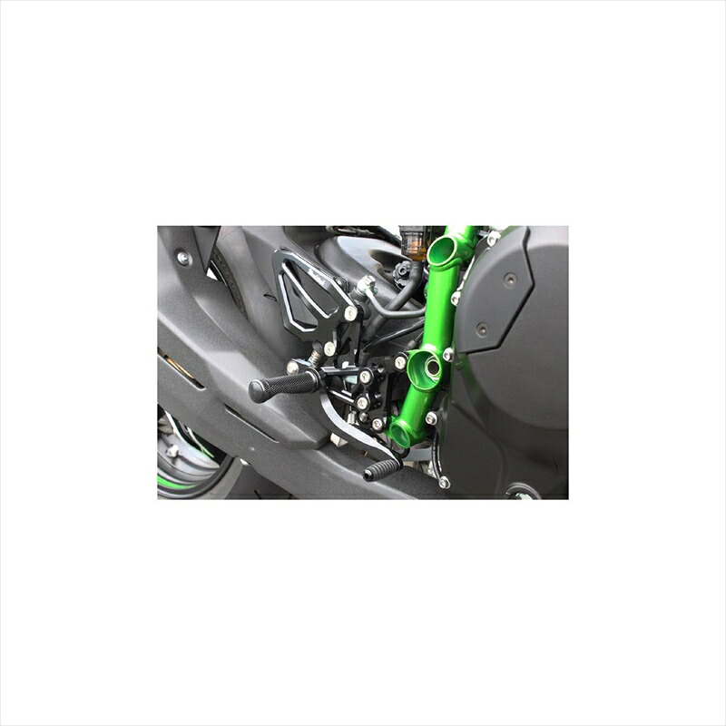 バイクパーツWOODSTOCK(ウッドストック) バックステップキット 4POS/GLD WBS-K32-GD4549950331216Ninja H2 STDペダル｜バイク用品はとやグループ2号店