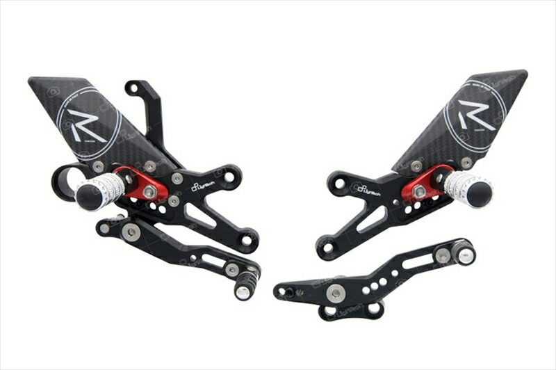 バイク用品 ステップ ライテック ライテック 可倒式ADJステップキット R-Ver CBR1000RR 08-18 FTRHO006R 8052329336369 68,587円