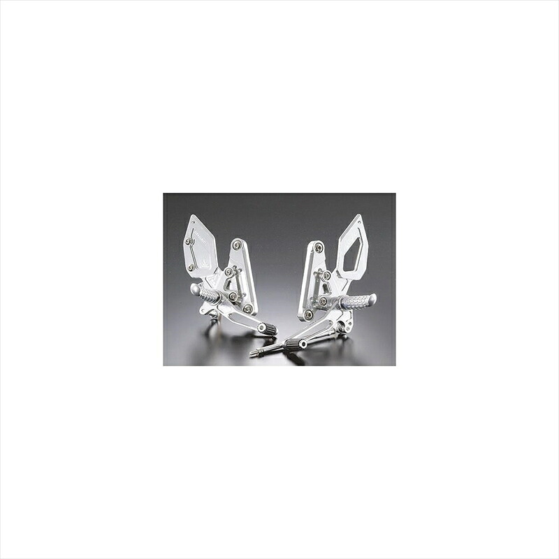 バイクパーツ ステップ アグラス バックステップ 4ポジション 312-457-000 4520616536718 ZEPHYR1100