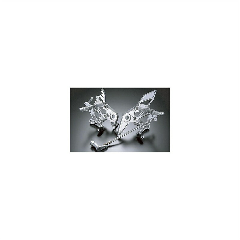 バイクパーツ ステップ アグラス バックステップ 4ポジション 312-151-000 4520616552442 VTR1000F