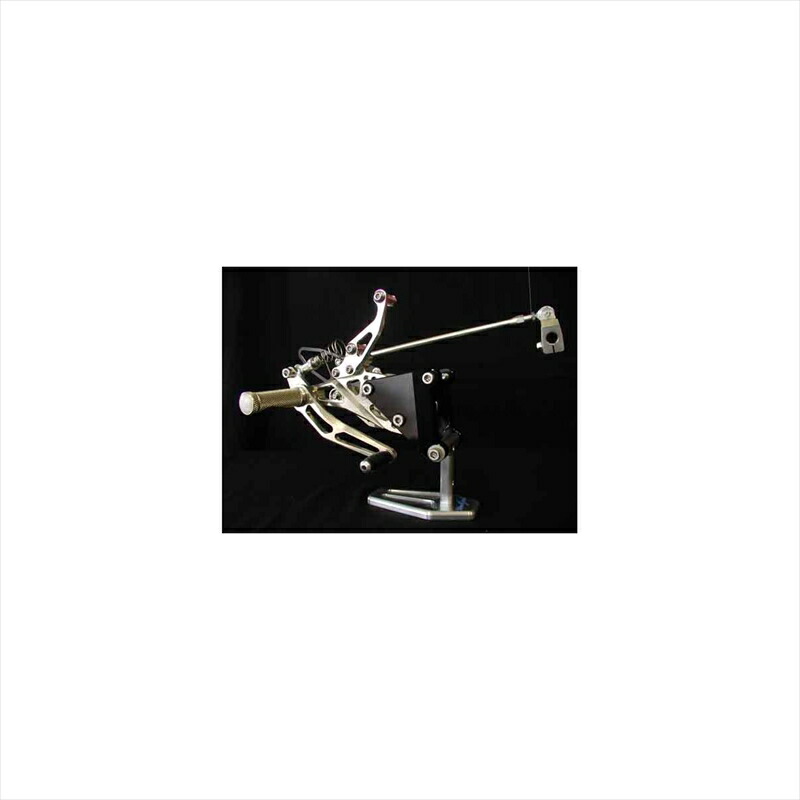 バイクパーツ WOODSTOCK(ウッドストック) バックステップキット シャンパンGLD WBS-Y04-00 4547424436504 YZF-R1 98-01