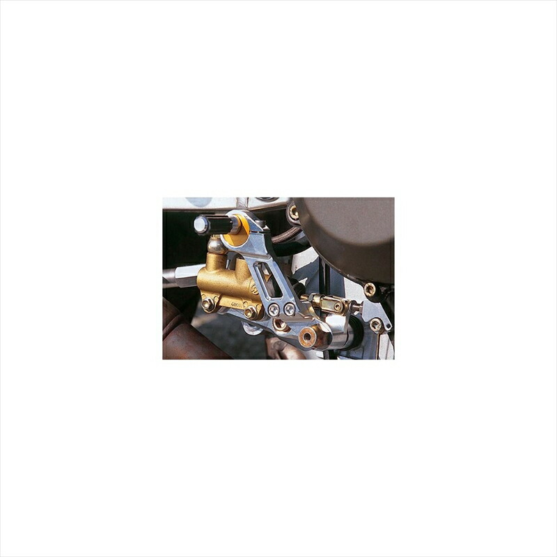 バイクパーツ ステップ アグラス エキセントリックペダル 312-550-002 4547424963994 DUCATI