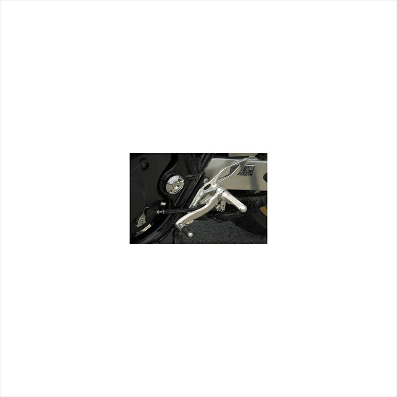 バイクパーツ BEET(ビート) ハイパーバンク 固定式 SLV 0111-H65-20 4582346450696 CB1300SF/SB 03-13