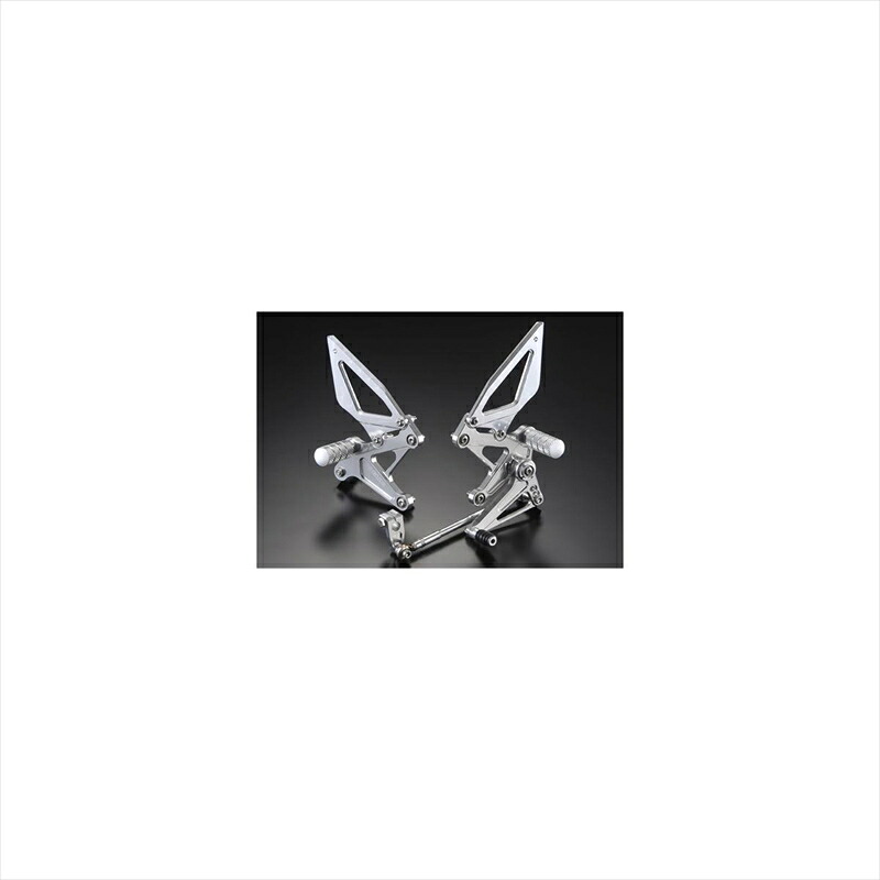 バイクパーツ ステップアグラス ステッププレートセット 312-105-001 4547567757757NSF100｜バイク用品はとやグループ2号店