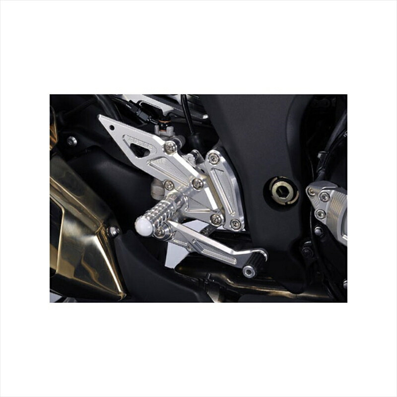 バイク用品ステップアグラスアグラスバックステップ4ポジションZ100010-14ABS不可312-482-0004548664143818取寄品