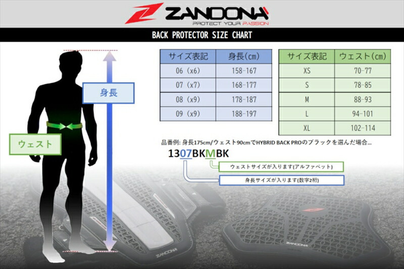 バイク用品ウェアプロテクターザンドナZANDONAHYBRIDバックプロx81308BKBKL1308BKLBK4549950958604取寄品