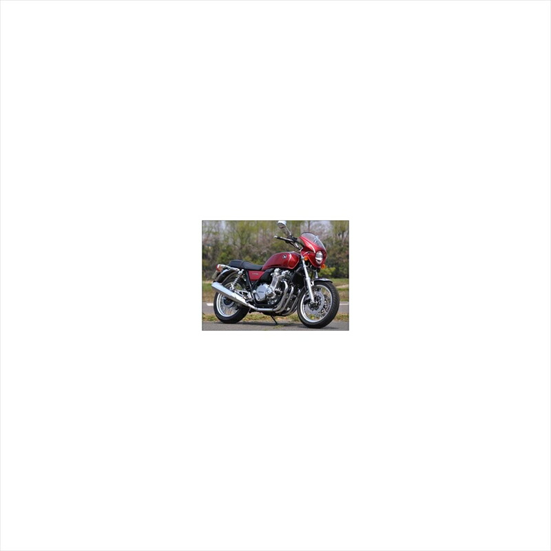 バイクパーツ 外装 シックデザイン ロードコメット2Pスペンサーブルストライプ RCB60B-SBL3/2 4548916705511 3トーン スモーク CB1100/EX 14-