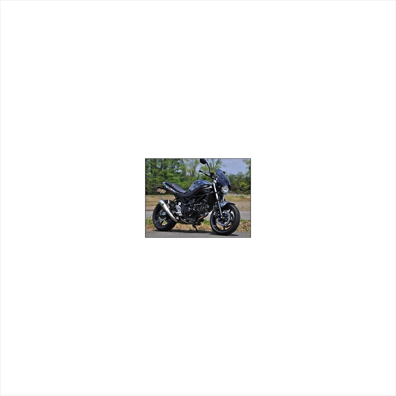 バイクパーツ 外装 シックデザイン GUYRAシールド クリア #S GS49BS 4549950540052 SV650 16-