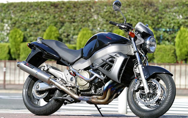 バイク用品外装ゴールドメダルGOLDMEDALスラッシュガードサブ付バフ仕上X-11SGH11B-14547424866882取寄品セール