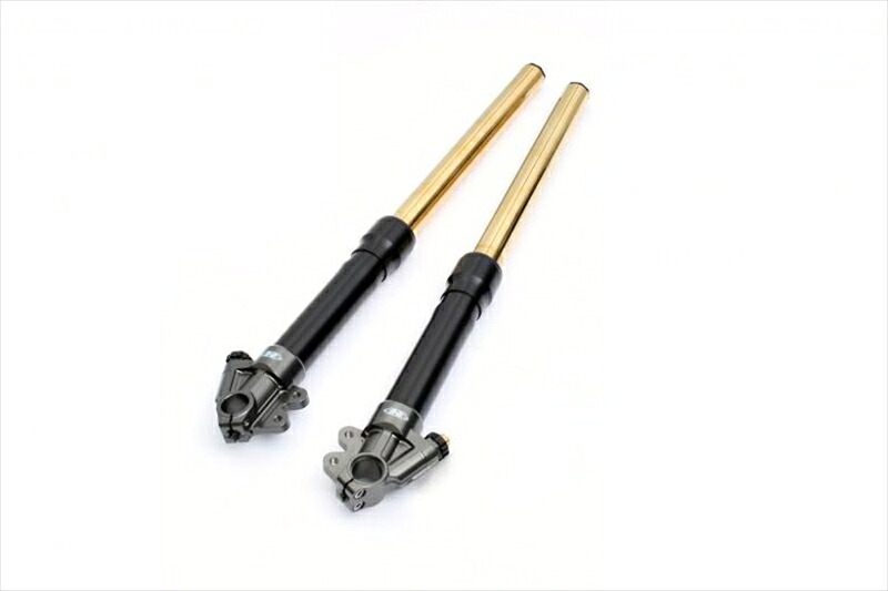 バイク用品 ハイパープロ AH1フォークVer1.2 43mmインナーGLD 800mm XJR1300 01-10 AH1GBT14-1.2 4538792914046 取寄品